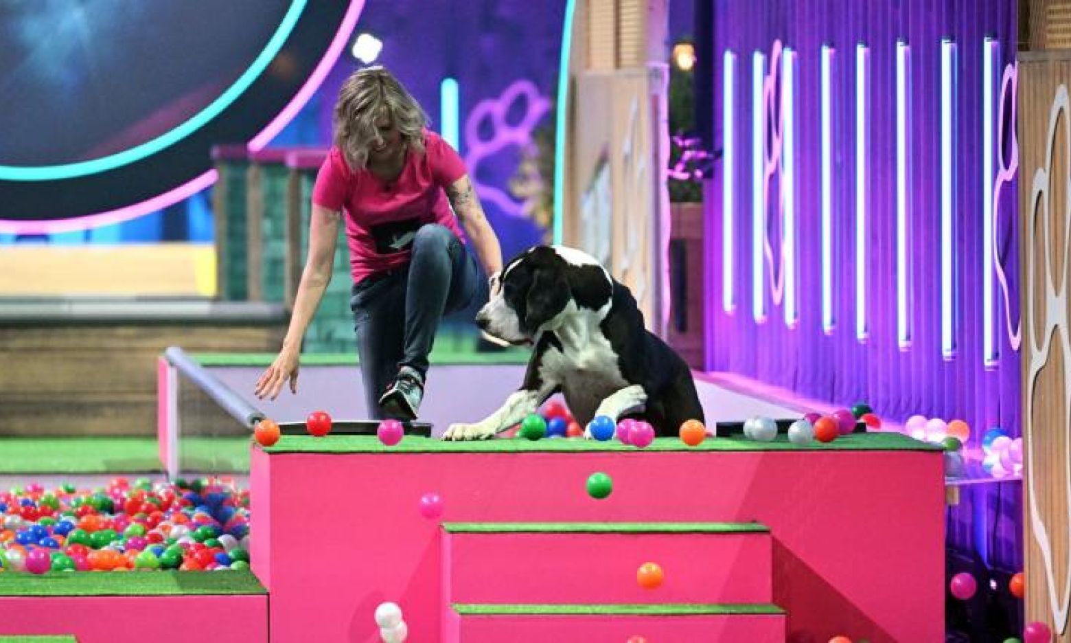 „Top Dog Germany“ Kommt der beste Hund Deutschlands wieder aus dem