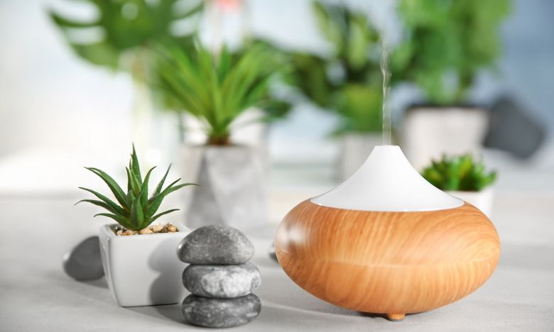 Die Magie der Düfte: Welcher Aroma-Diffuser zaubert den besten Raumduft?