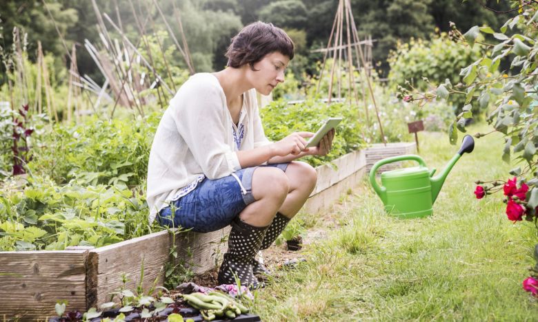 Smart Gardening: So geht die Gartenarbeit leichter von der Hand