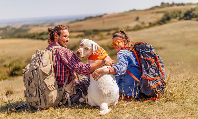 DAS sind die 5 besten Ausflugsziele für einen Urlaub mit Hund in Deutschland!