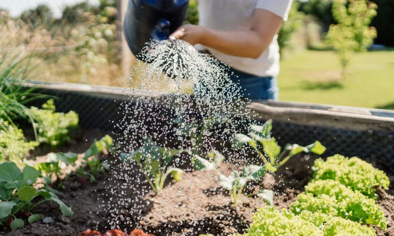 Gartenarbeit: 5 Pflanzen, die sich perfekt für dein Hochbeet eignen!