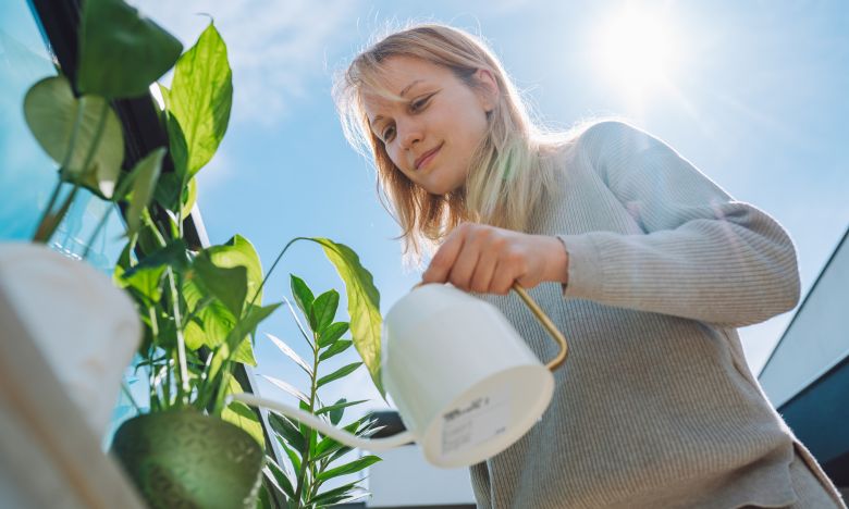 Diese 5 Pflanzen eignen sich ideal für einen sonnigen Balkon!