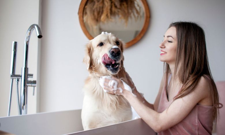 Duftend und pflegend: DIY-Hundeshampoo mit Kokosöl in 5 Minuten selber machen