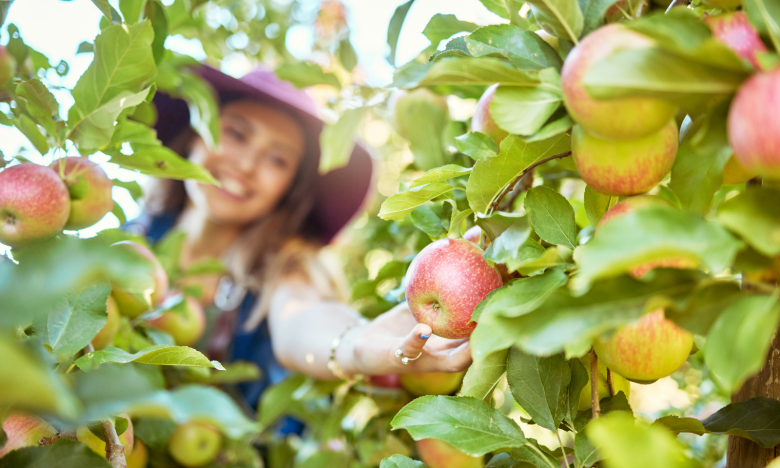 Flacher Bauch gefällig? Diese 5 Früchte sind deine Geheimwaffe!