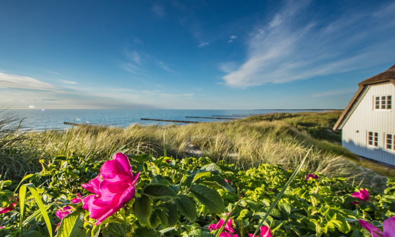 Die 3 schönsten Ostsee-Orte für deinen perfekten Herbsturlaub 2024