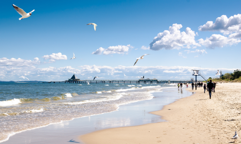 Ostsee-Herbstzauber: Diese 3 Orte sind perfekt zum Wandern!