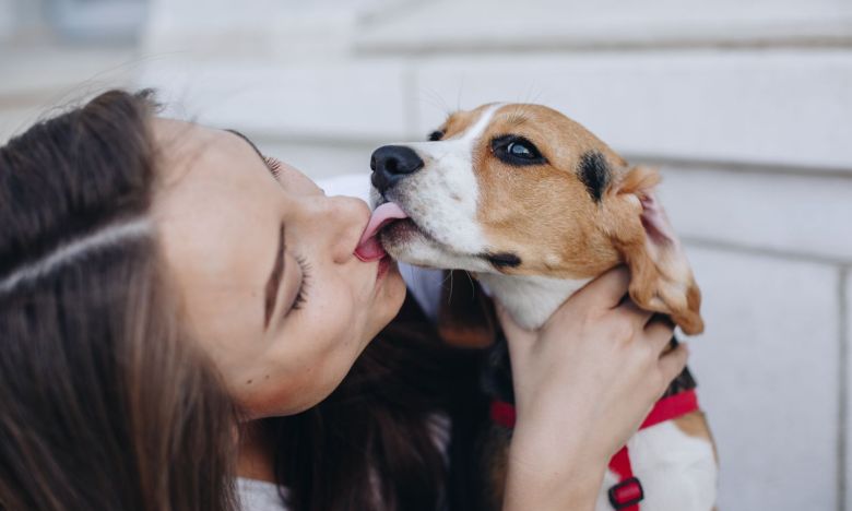 Wirklich aus Liebe? Warum dein Hund dir Küsschen gibt